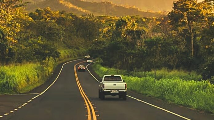 cars on road