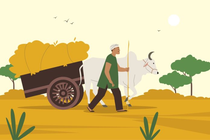 PM Kisan Yojana