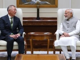 hyundai meet pm modi