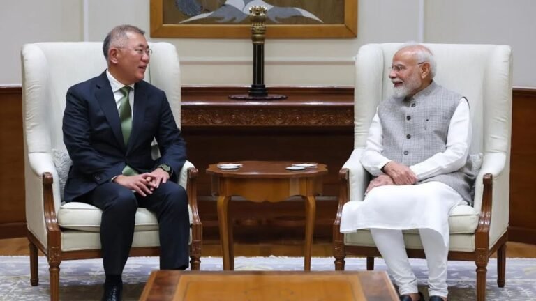 hyundai meet pm modi